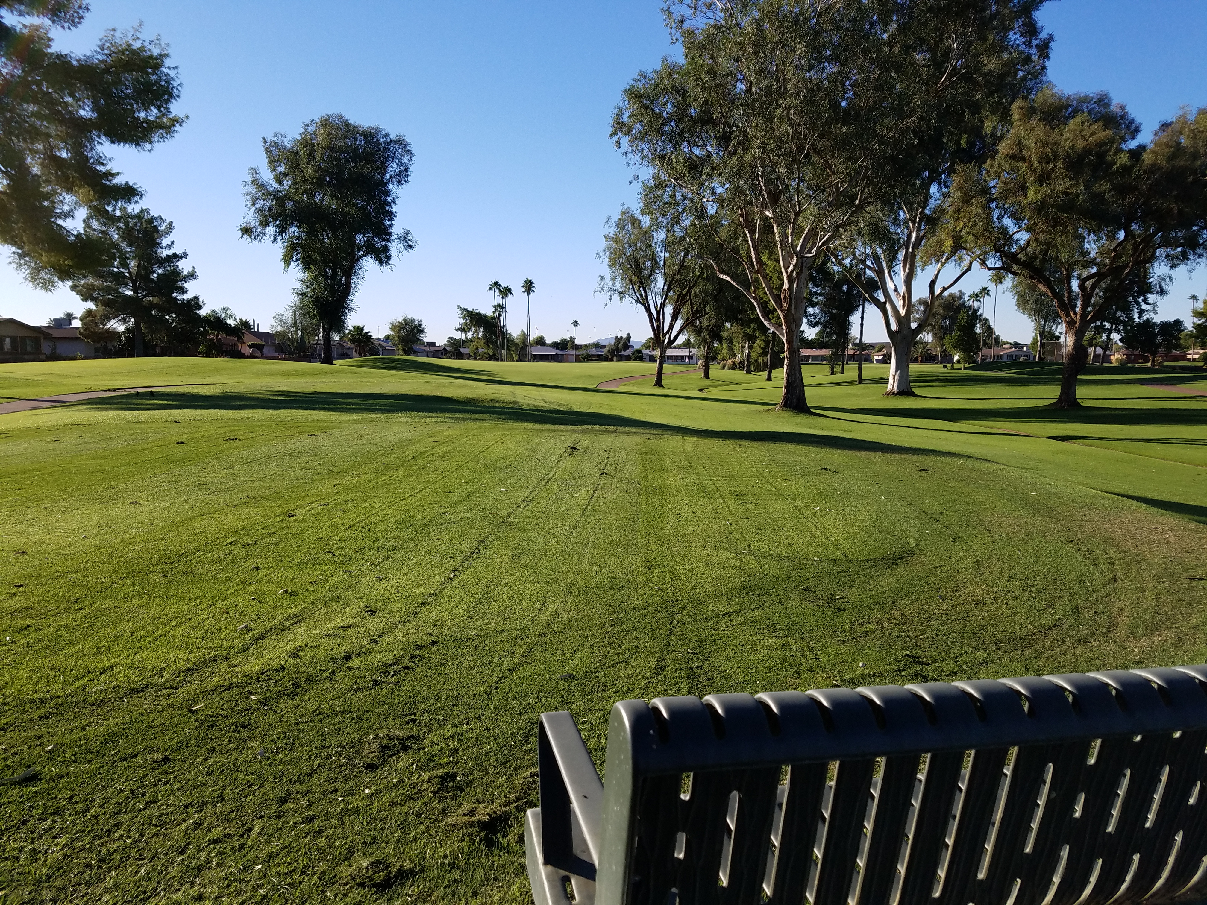 Course Photos Sunland Village Golf Club