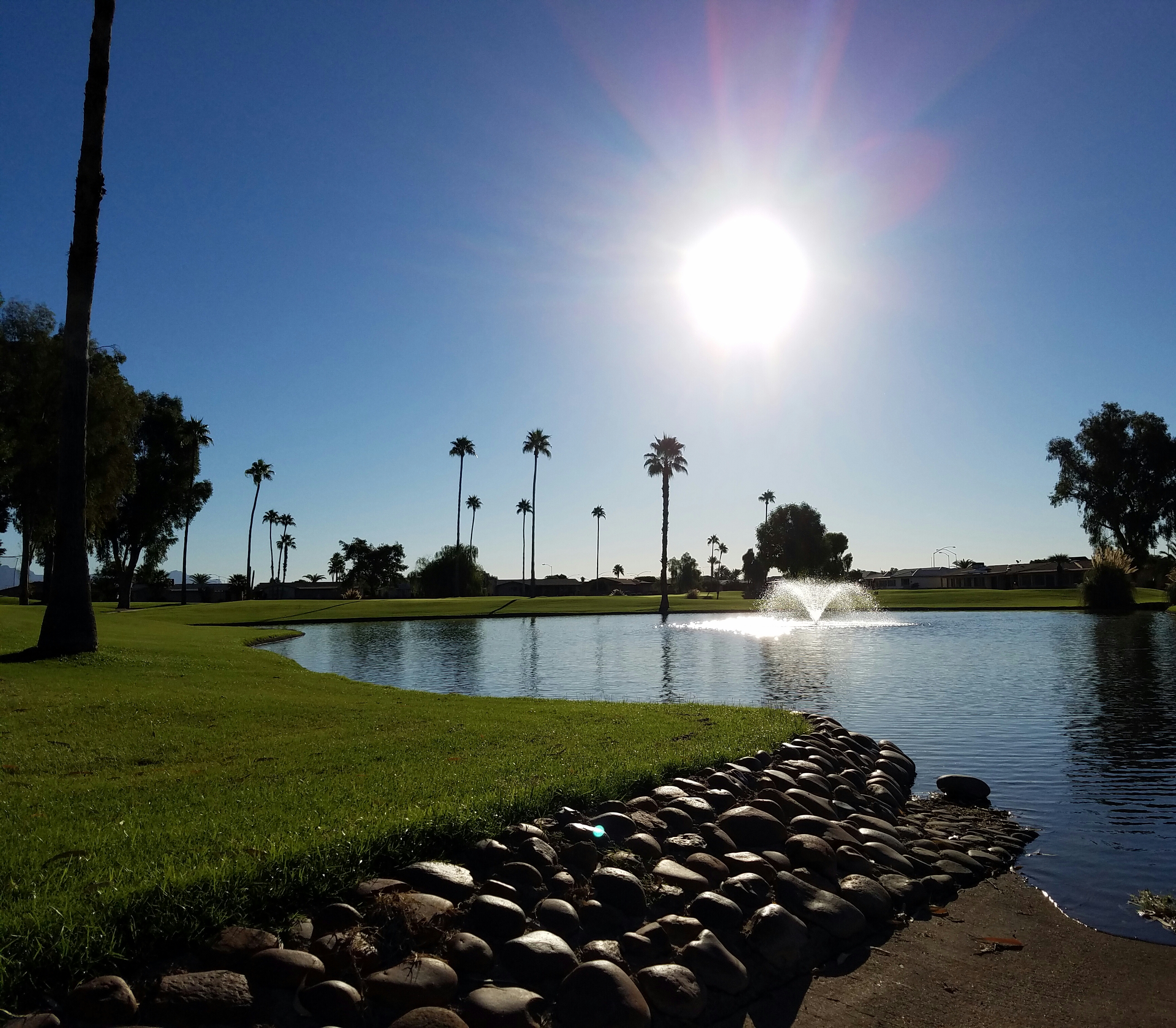Course Photos Sunland Village Golf Club
